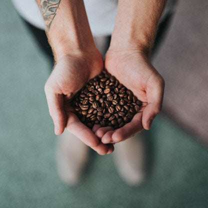 Specialty coffee beans held in open hands