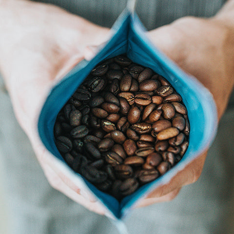 barista holding open a blue bag of specialty grade roasted coffee
